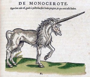 The Unicorn