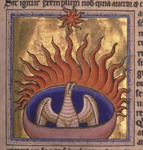 Phoenix detail from Aberdeen Bestiary